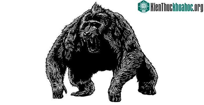 Dinopithecus còn được gọi với một cái tên khác là "vượn khủng bố".