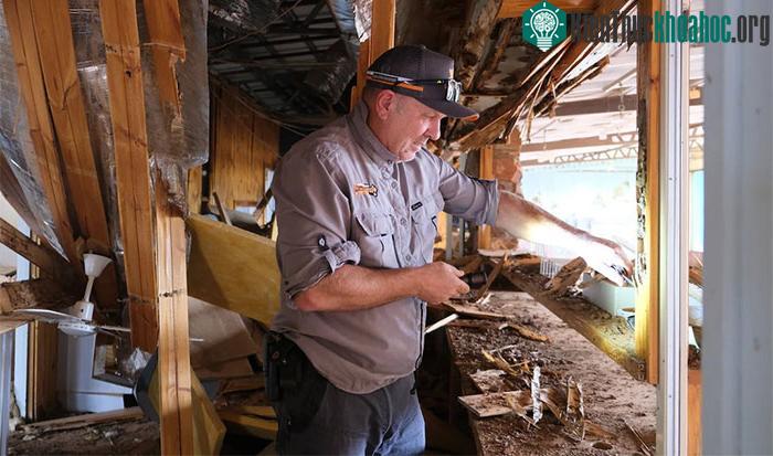 Chris Cook bóc phần gỗ còn sót lại trên khung cửa tại nhà hàng để kiểm tra tình trạng mối mọt.