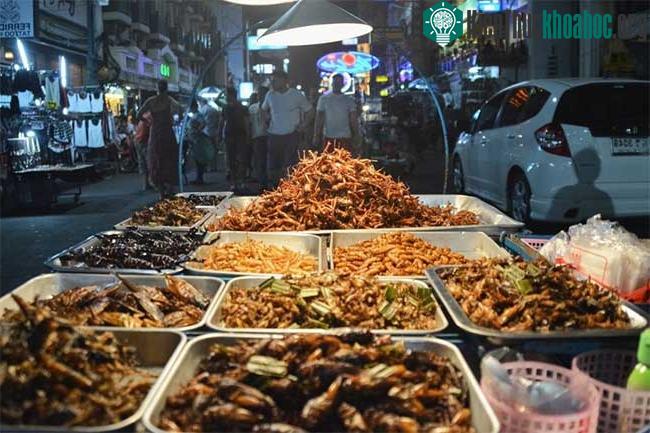Dế thường được phục vụ như một món ăn nhẹ ở nhiều nước trên thế giới.