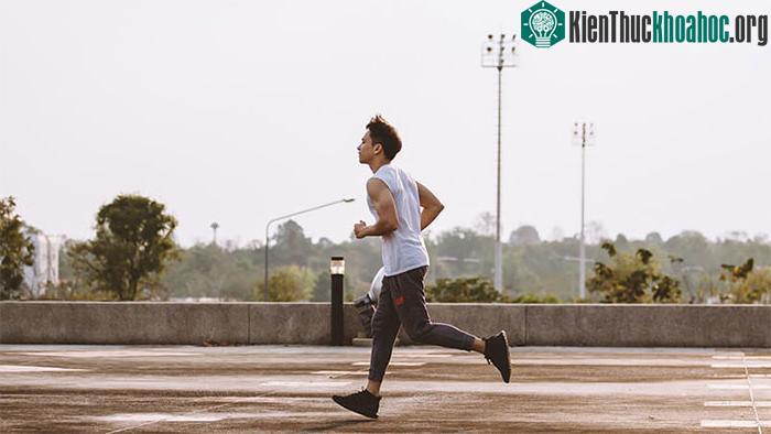 Chúng ta nên đi bộ 10.000 bước mỗi ngày