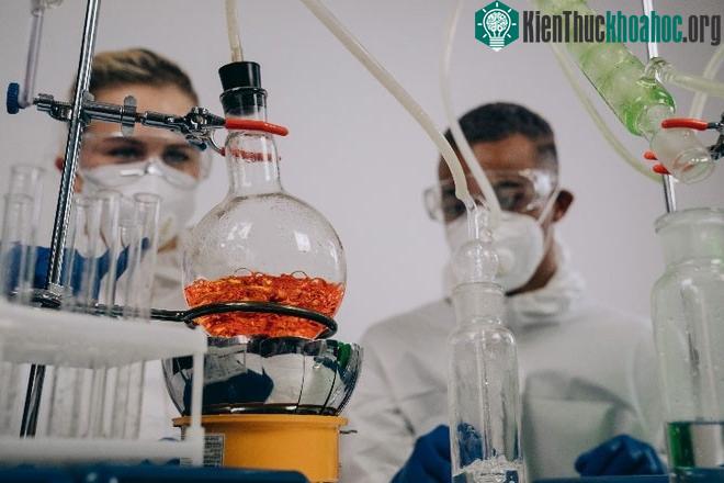 Nhiều protein kháng khuẩn do AI tạo ra có thành công bước đầu.