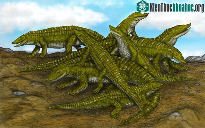 Thằn lằn đại bàng Aetosaur