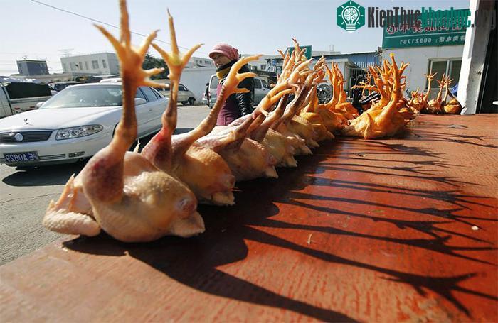 Gà được bày bán tại một khu chợ ở Thượng Hải, Trung Quốc.