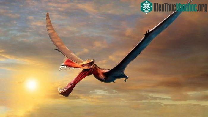 Thằn lằn bay và khủng long là hai nhánh hoàn toàn độc lập
