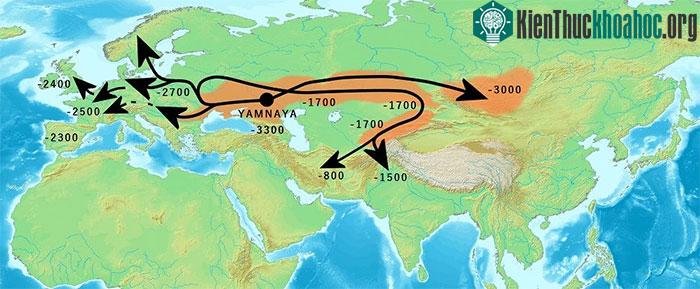 Hành trình di cư của người Yamnaya.