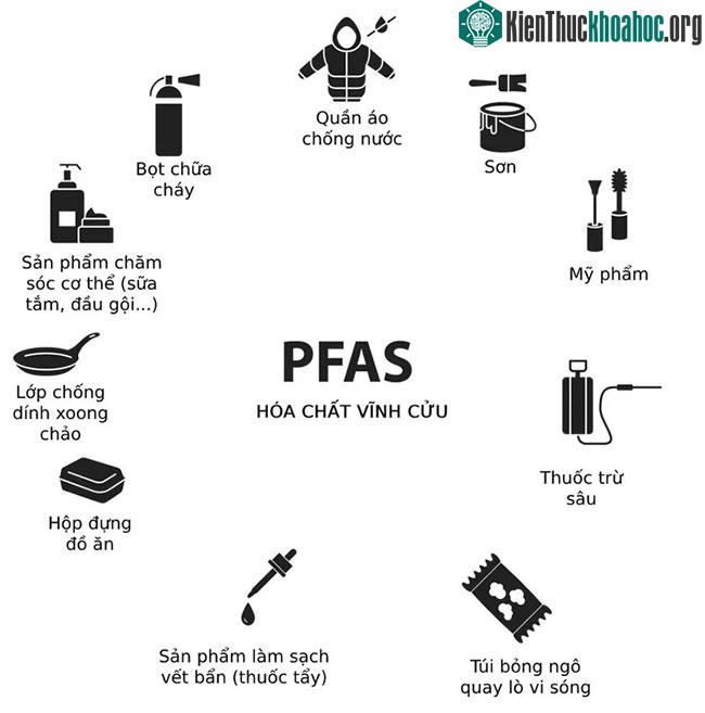 Hoa chất PFAS có trong những đồ dùng hàng ngày