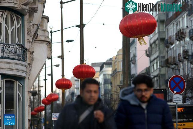 Trang trí đèn lồng ở Lisbon.