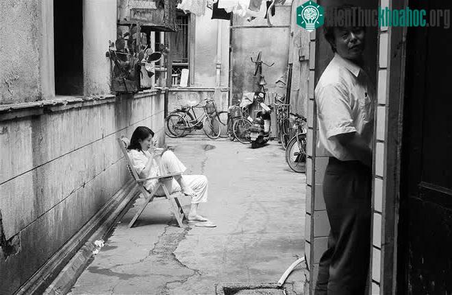 Những bức ảnh ghi lại thời hoàng kim của Thượng Hải, khung hình nào cũng đẹp tựa phim điện ảnh ảnh 19