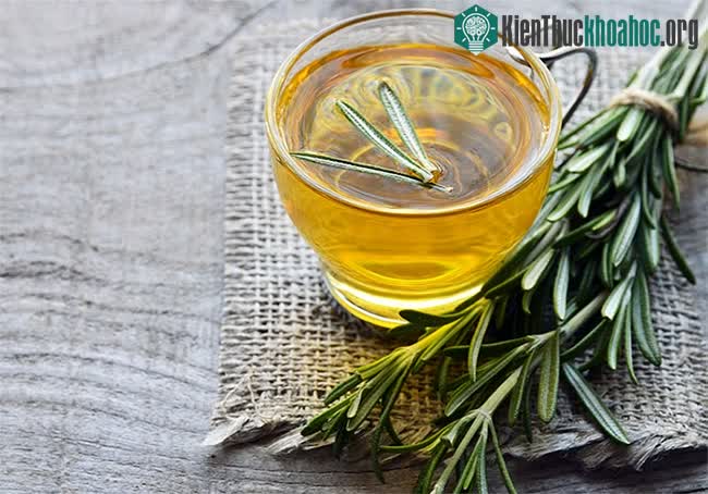 Axit carnosic là thành phần chính của hương thảo, có thể thúc đẩy đáng kể sức khỏe của mắt.