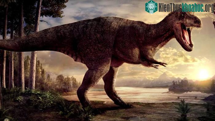 Quái vật cổ đại của Úc: Câu chuyện về Burrunjor ảnh 2