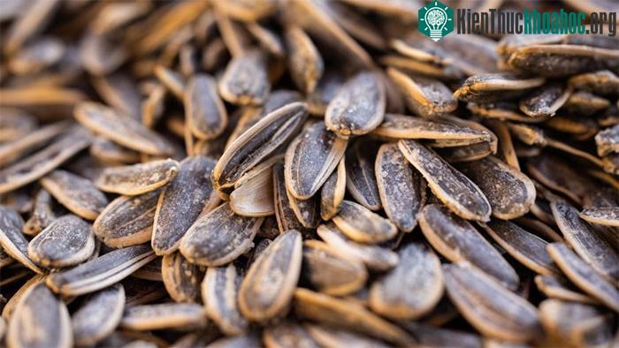 Bánh chưng cắt phần bị mốc còn ăn được không? ảnh 2