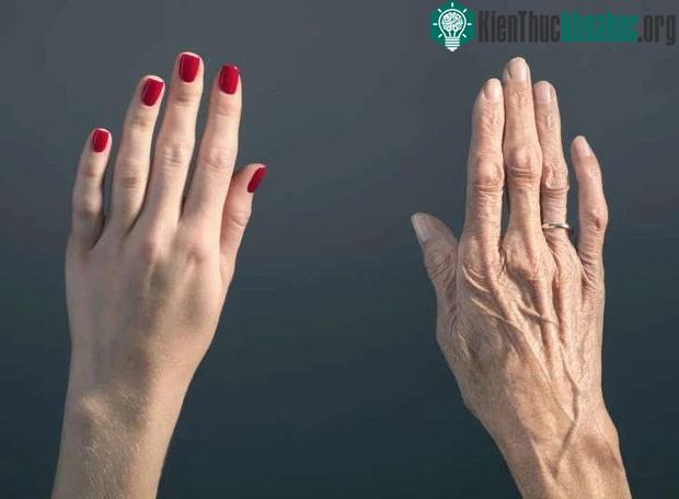 Rủi ro có xứng đáng với phần thưởng không? Điều đó tùy thuộc vào mỗi người