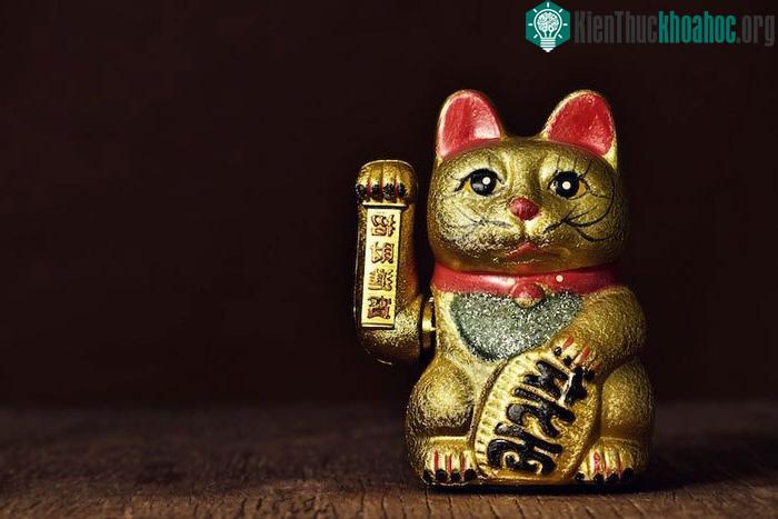 Maneki-neko thường được trưng bày ở lối vào của các cơ sở kinh doanh.