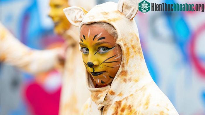 Người tham dự lễ hội Kattenstoet hoá trang thành mèo.