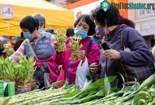 Cộng đồng người châu Á trên khắp thế giới đón Tết Nguyên đán ảnh 26