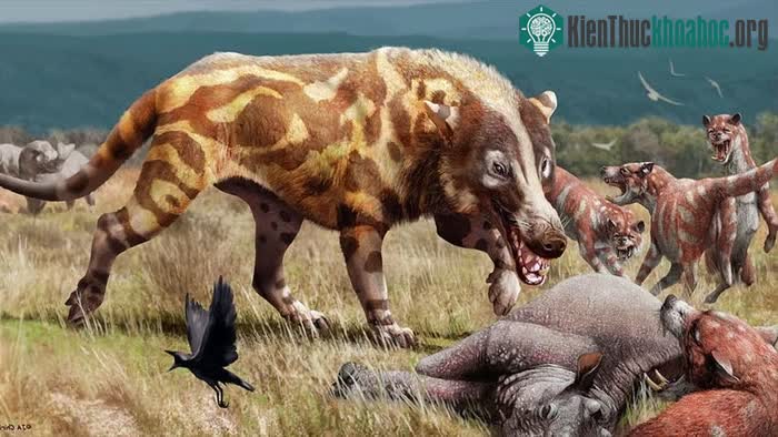 Andrewsarchus mongoliensis