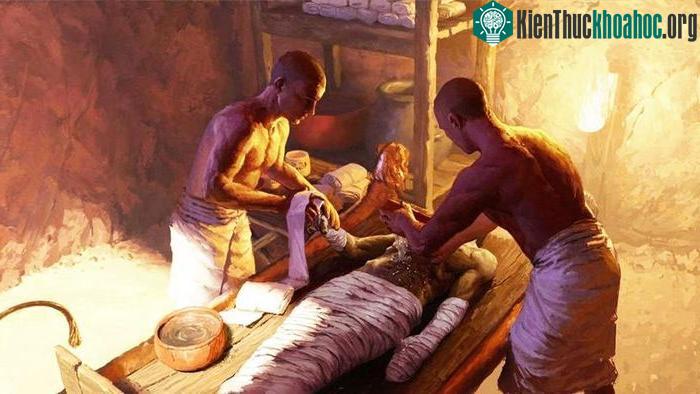Các chất ướp xác có nguồn gốc đa dạng, từ Địa Trung Hải, Đông Nam Á hay châu Phi.