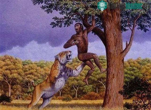 &nbsp;Chúng ta phải luôn cảnh giác trước sự tấn công của những kẻ săn mồi như mèo