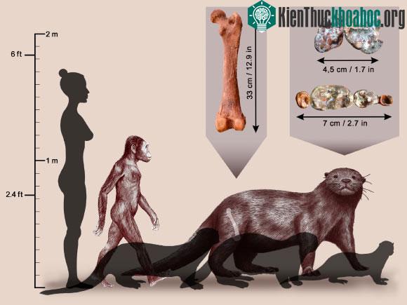 Những quái vật thế giới chưa từng biết lộ diện trong năm 2022 ảnh 4