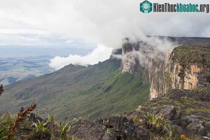 Vườn quốc gia Canaima thuộc Cao nguyên Guayana.