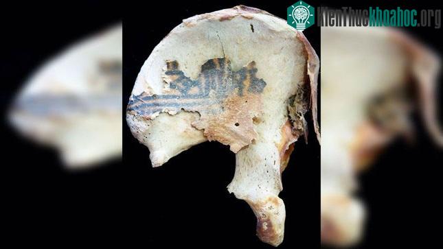 Top 10 khám phá Ai Cập cổ đại đáng kinh ngạc trong năm 2022 ảnh 5