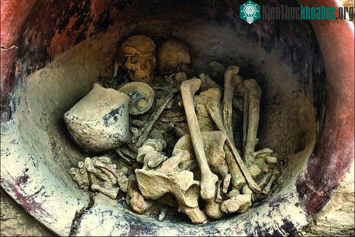 Giả thuyết về sự cầm quyền của phụ nữ ở Tây Ban Nha thời cổ đại