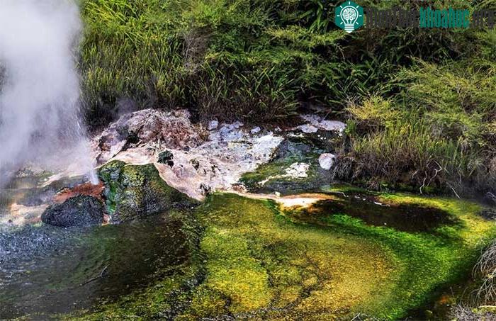 Khách du lịch có thể tìm thấy tảo xanh lam hoặc xanh lục mọc ở 2 bên hồ.