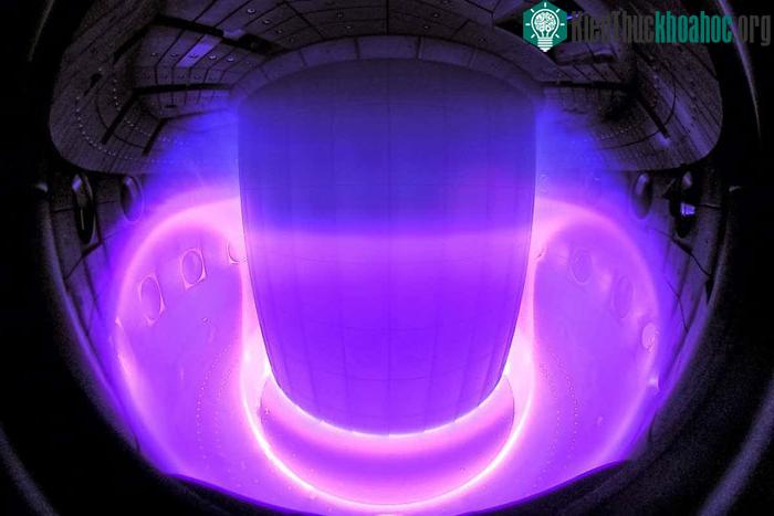 Tokamak