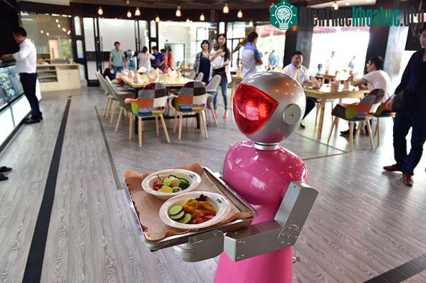 Robot phục vụ.