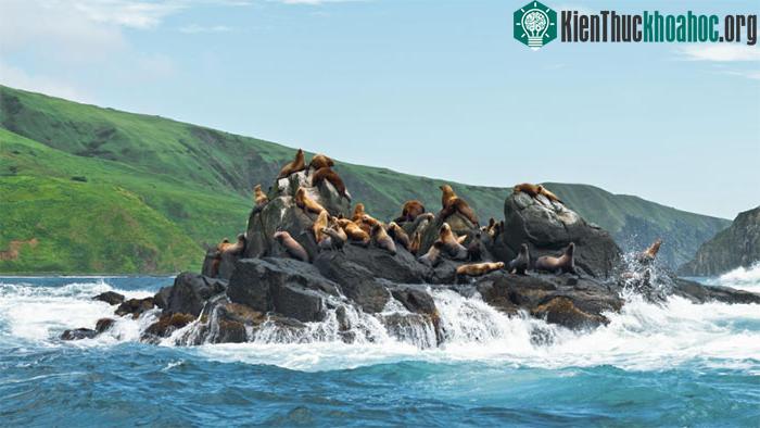Núi Moneron, vùng Sakhalin