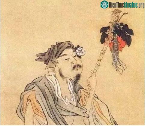 Trong triều đại nhà Tống, cài hoa được triều đình chủ trương trở thành một nghi thức.