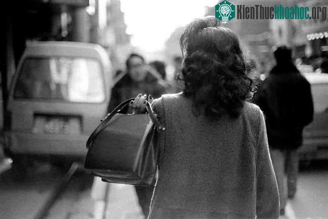 Ảnh chụp tháng 3 năm 1994