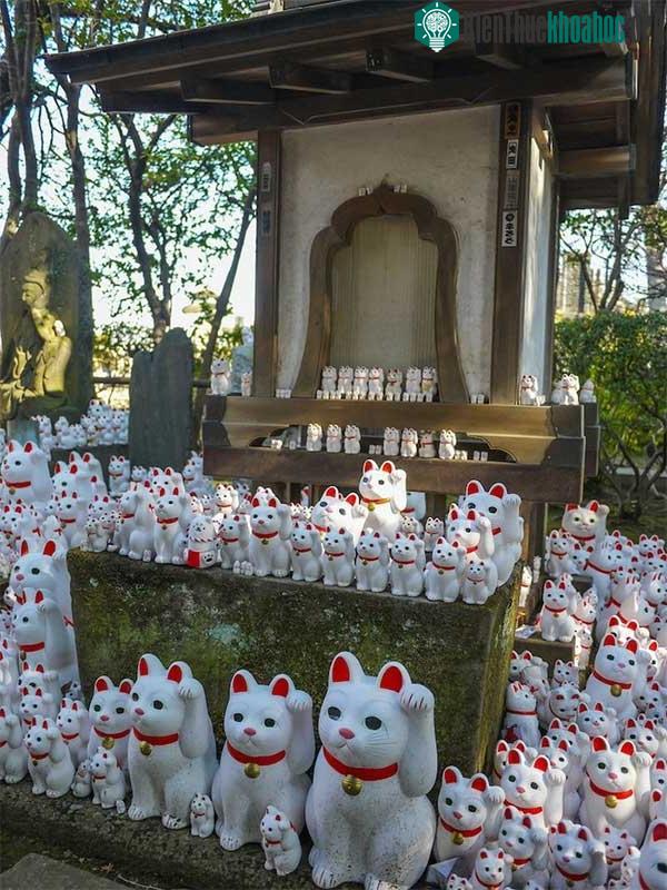 Maneki-neko cũng có nhiều màu sắc khác nhau, tùy thuộc vào mong muốn của chủ nhân.