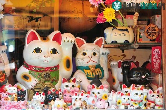 Vào tháng 9, Lễ hội Manekineko được tổ chức ở nhiều thành phố trên khắp Nhật Bản.