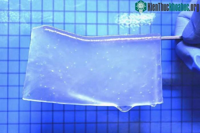 Hydrogel tái tạo mô tế bào thần kinh