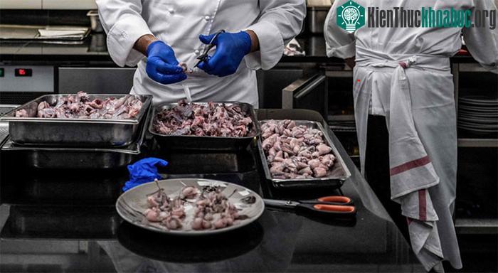 Đầu bếp đang chế biến thịt ếch tại Pháp