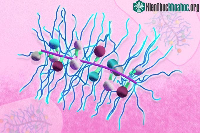Công nghệ BAM với thiết kế hạt cây hình bàn chải