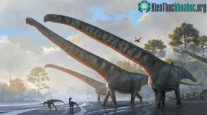 Vẻ ngoài kỳ lạ của quái vật kỷ Jura ở Tân Cương - Trung Quốc