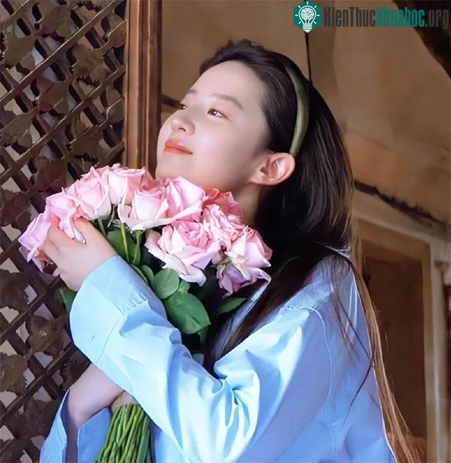 Diễn viên Lưu Diệc Phi