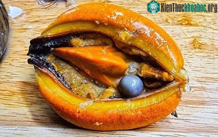Viên ngọc trai đen mà anh Kim phát hiện trong một con vẹm đỏ.