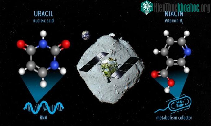 Một số phân tử hữu cơ trong mẫu vật lấy trên Ryugu.