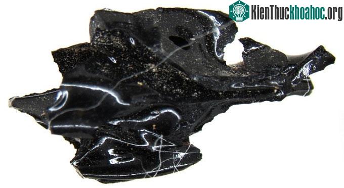 Mảnh não người bị thủy tinh hóa trong hộp sọ người đàn ông ở Herculaneum.