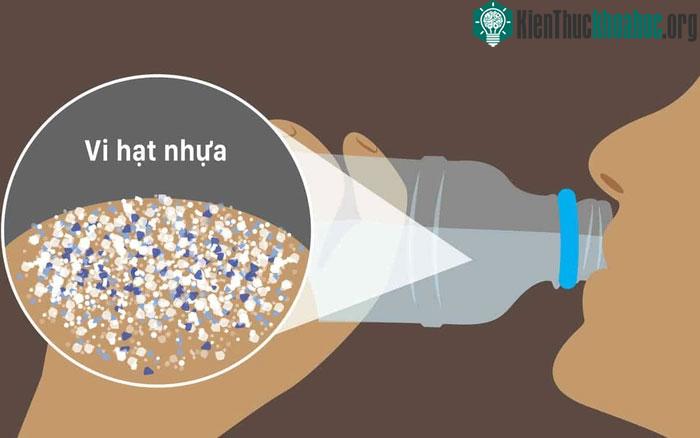 Đồ nhựa có thể gây rối loạn hormone, làm sao để phòng tránh? ảnh 0
