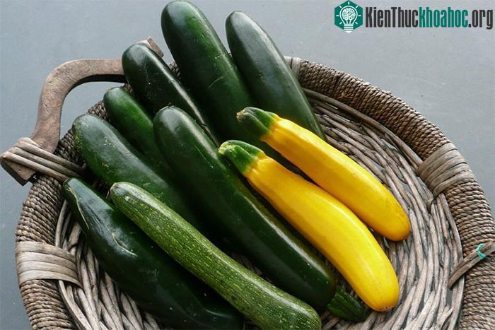 Lợi ích tuyệt vời của bí ngòi đối với sức khỏe ảnh 0