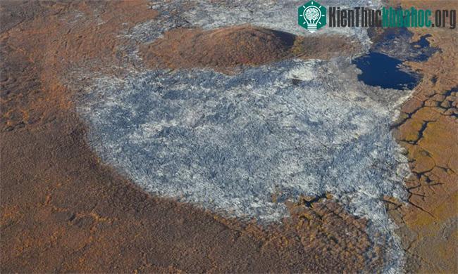 Đồng bằng sông Mackenzie ở Canada có khối gỗ chết tích tụ lớn nhất thế giới.