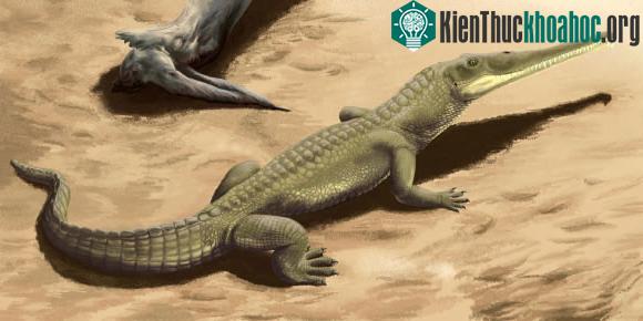 Chân dung Colossosuchus techniensis khi còn sống trên Trái đất