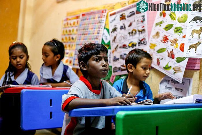 Việc mọi người đồng thời tắt các thiết bị điện tử sẽ giúp trẻ em tập trung làm bài tập tốt hơn.