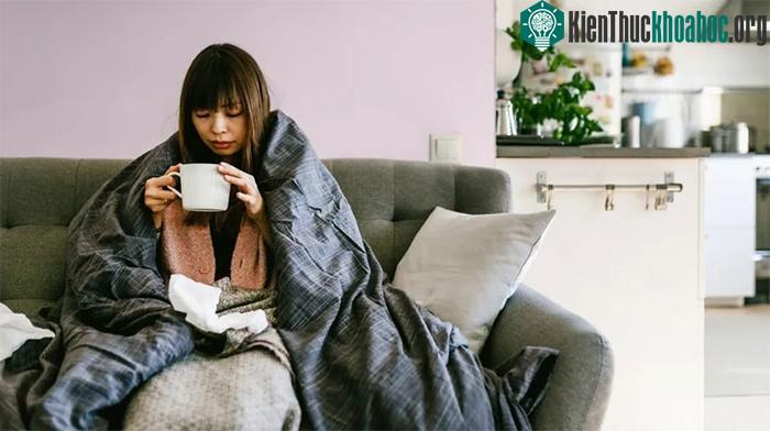 Viêm họng, sưng hạch, ho hay hắt hơi là những triệu chứng điển hình của bệnh cúm hay cảm lạnh