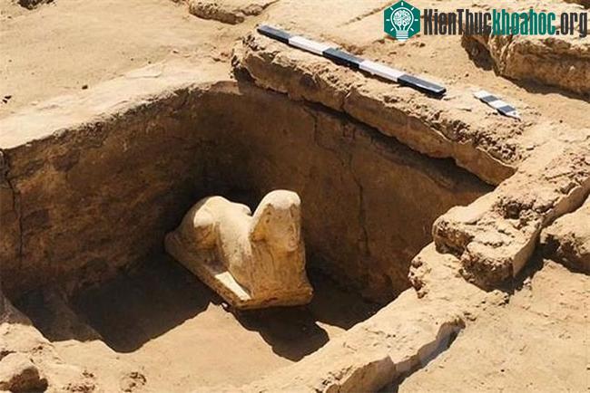 Bức tượng nhân sư được khai quật ở gần ngôi đền Dendera ở Qena, Ai Cập.