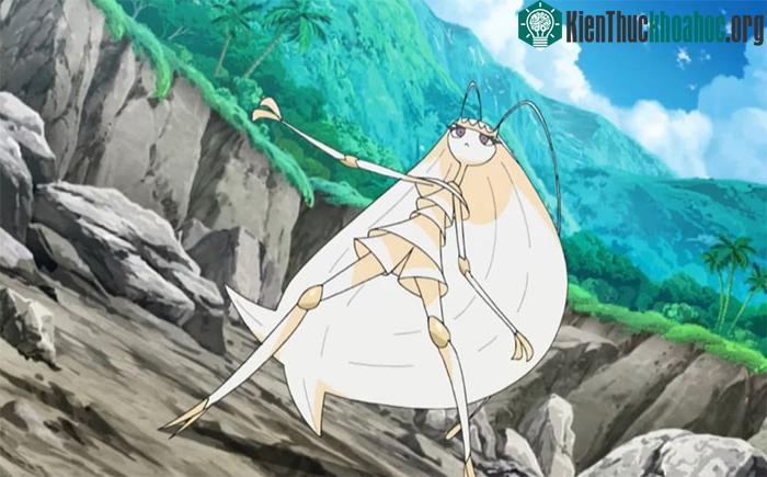 Loài gián mới được đặt tên theo nhân vật Pokémon ảnh 1